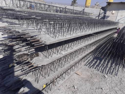 عکس تیرچه آسیایی