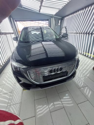 عکس کارشناسی رنگ خودرو گلها