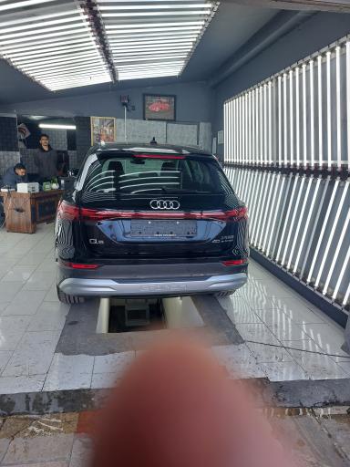 عکس کارشناسی رنگ خودرو گلها