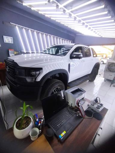 عکس کارشناسی رنگ خودرو گلها