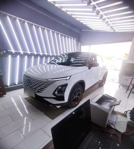 عکس کارشناسی رنگ خودرو گلها