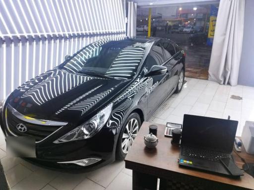 عکس کارشناسی رنگ خودرو گلها