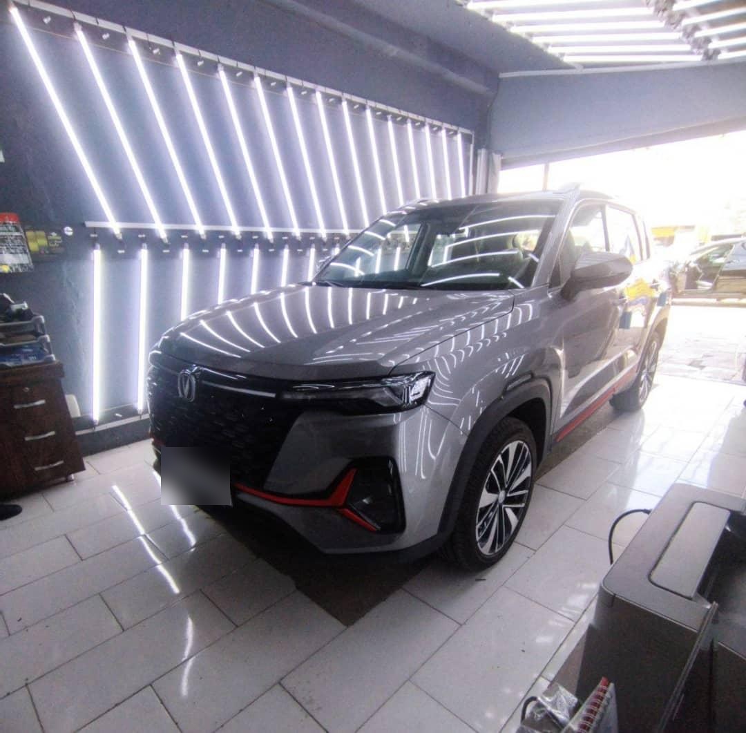 عکس کارشناسی رنگ خودرو گلها