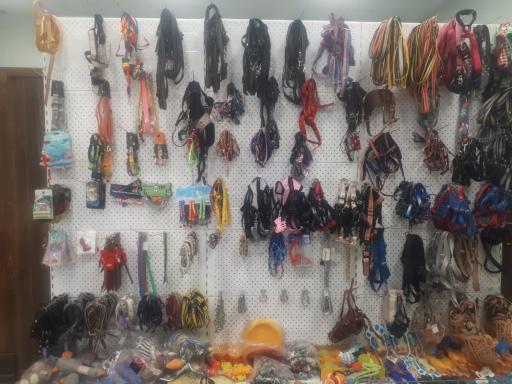 عکس کلینیک اختصاصی دامپزشکی بهار