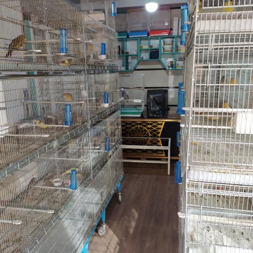 عکس پرنده فروشی و تجهیزات پرنده شهریار