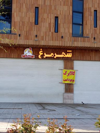 عکس شهر مرغ