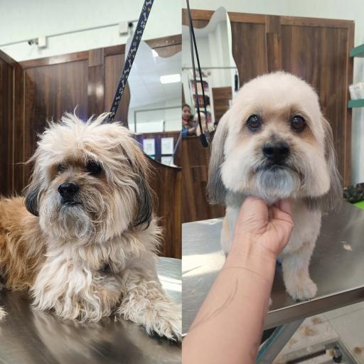 عکس کلینیک اختصاصی دامپزشکی بهار