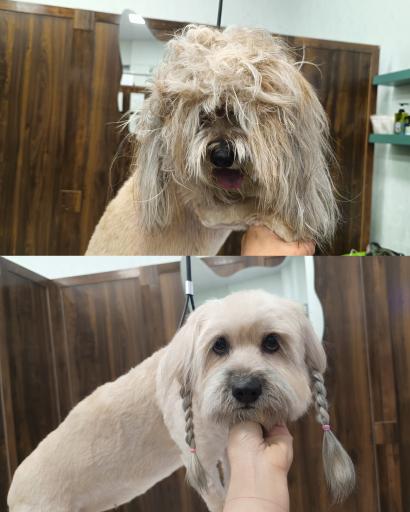 عکس کلینیک اختصاصی دامپزشکی بهار