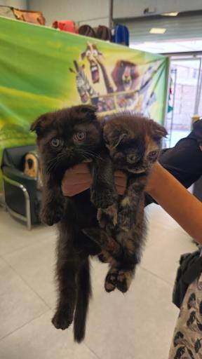 عکس کلینیک اختصاصی دامپزشکی بهار