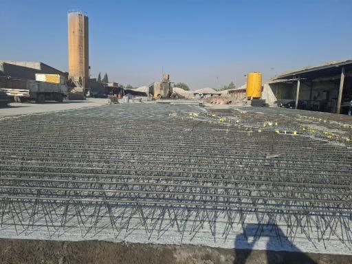 عکس تیرچه آسیایی