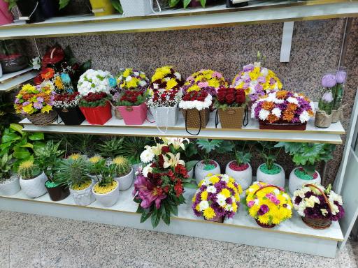 عکس گل فروشی مرسی بانو