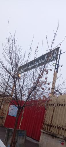 عکس پارکینگ نمونه شهید قلی پور