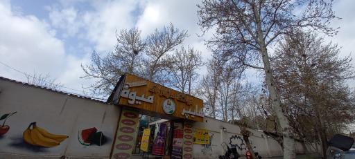 عکس فروشگاه میوه