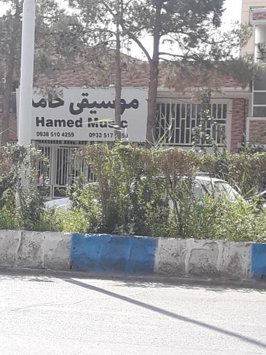 موسیقی حامد