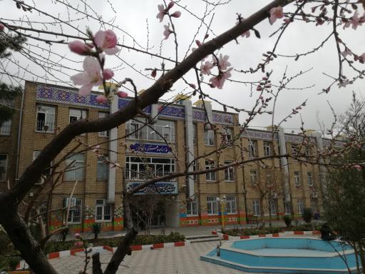 عکس دبیرستان فرزانگان 4