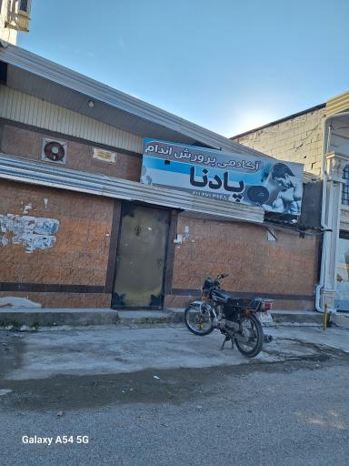 عکس آکادمی پرورش اندام پادنا