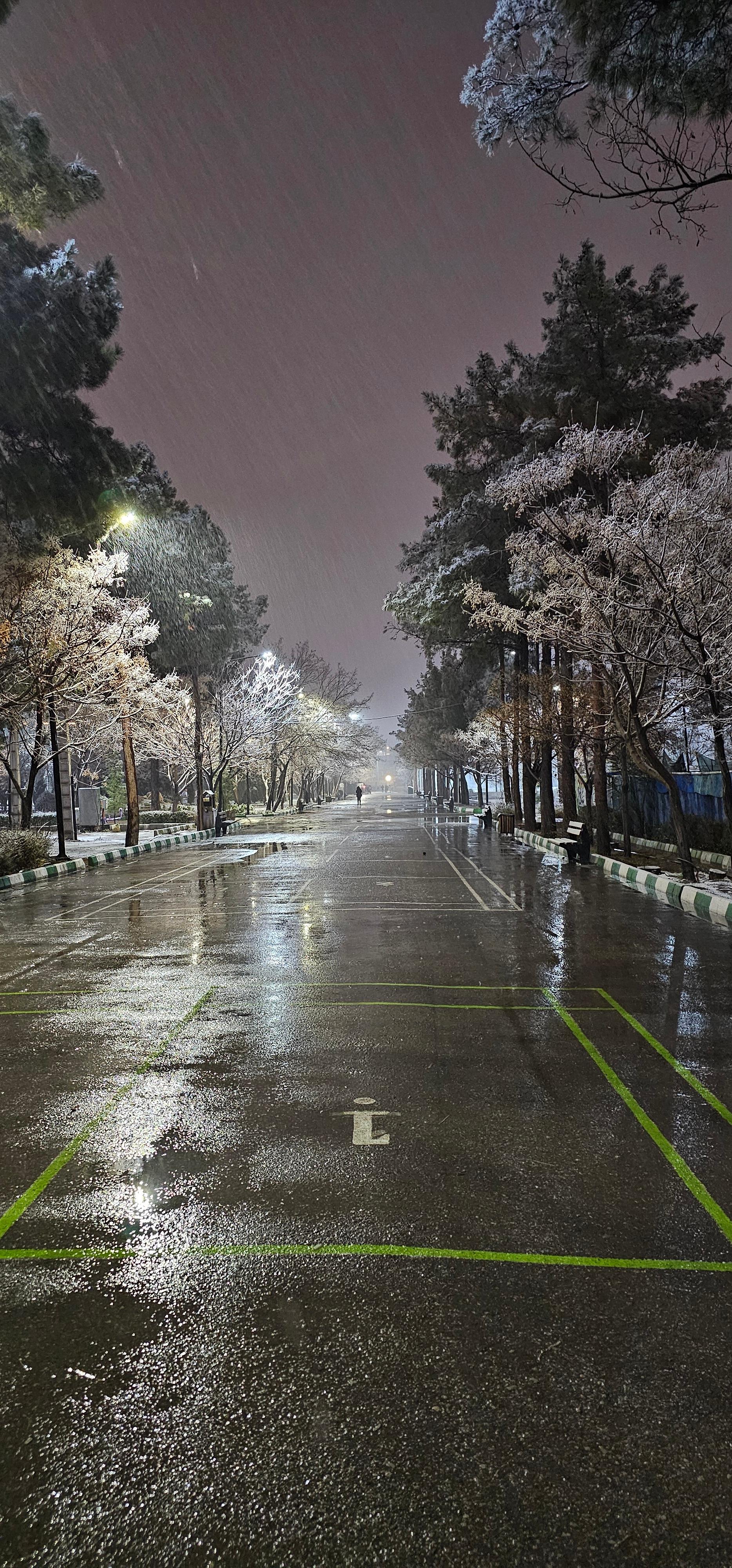 عکس بوستان بزرگ مادر