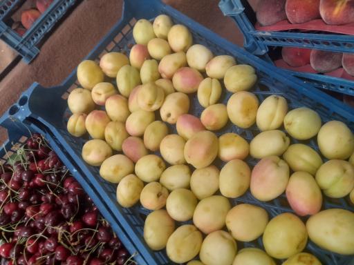 عکس میوه سرای گلچین