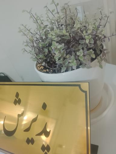 عکس سلامت کار (مرکز تخصصی طب کار و کارت سلامت رانندگان)