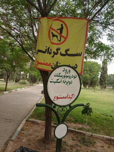 عکس بوستان بزرگ مادر