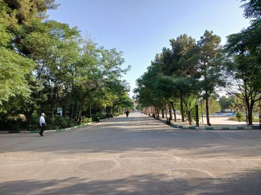 عکس بوستان بزرگ مادر