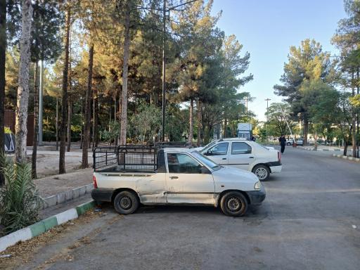 عکس بوستان بزرگ مادر