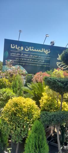 عکس نهالستان