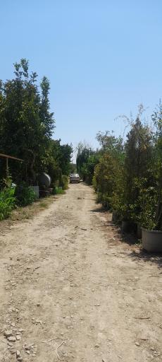 عکس نهالستان