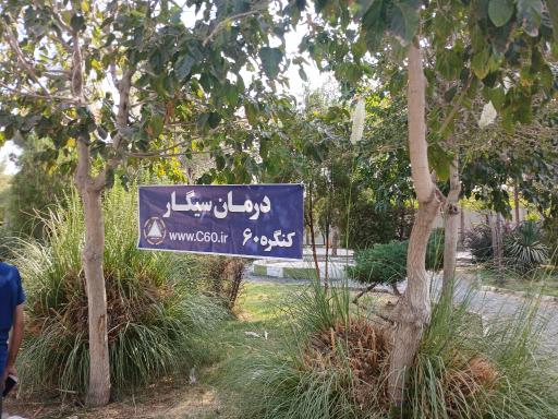 عکس بوستان بزرگ مادر