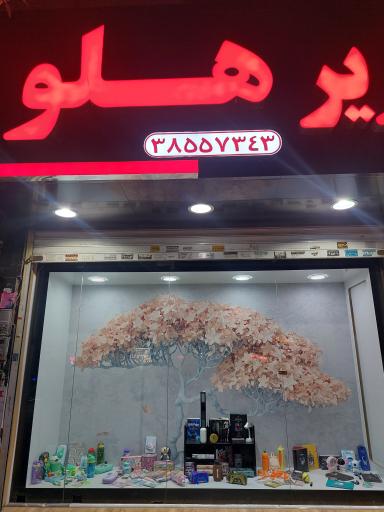 بانک کتاب و تحریر هلو