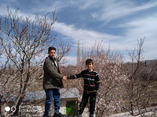 عکس الویر