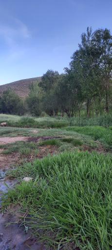 عکس نوالار (بولاغلار) نیر