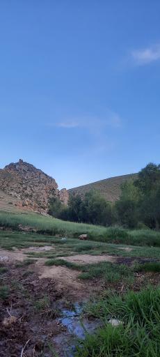 عکس نوالار (بولاغلار) نیر