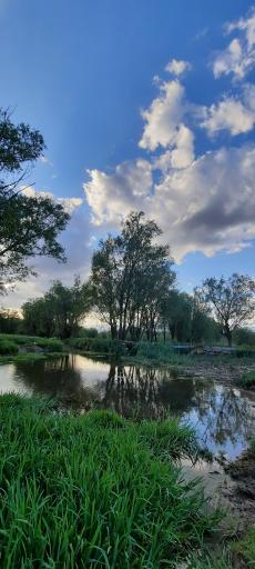 عکس نوالار (بولاغلار) نیر