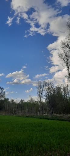 عکس نوالار (بولاغلار) نیر