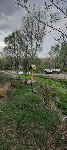 عکس نوالار (بولاغلار) نیر