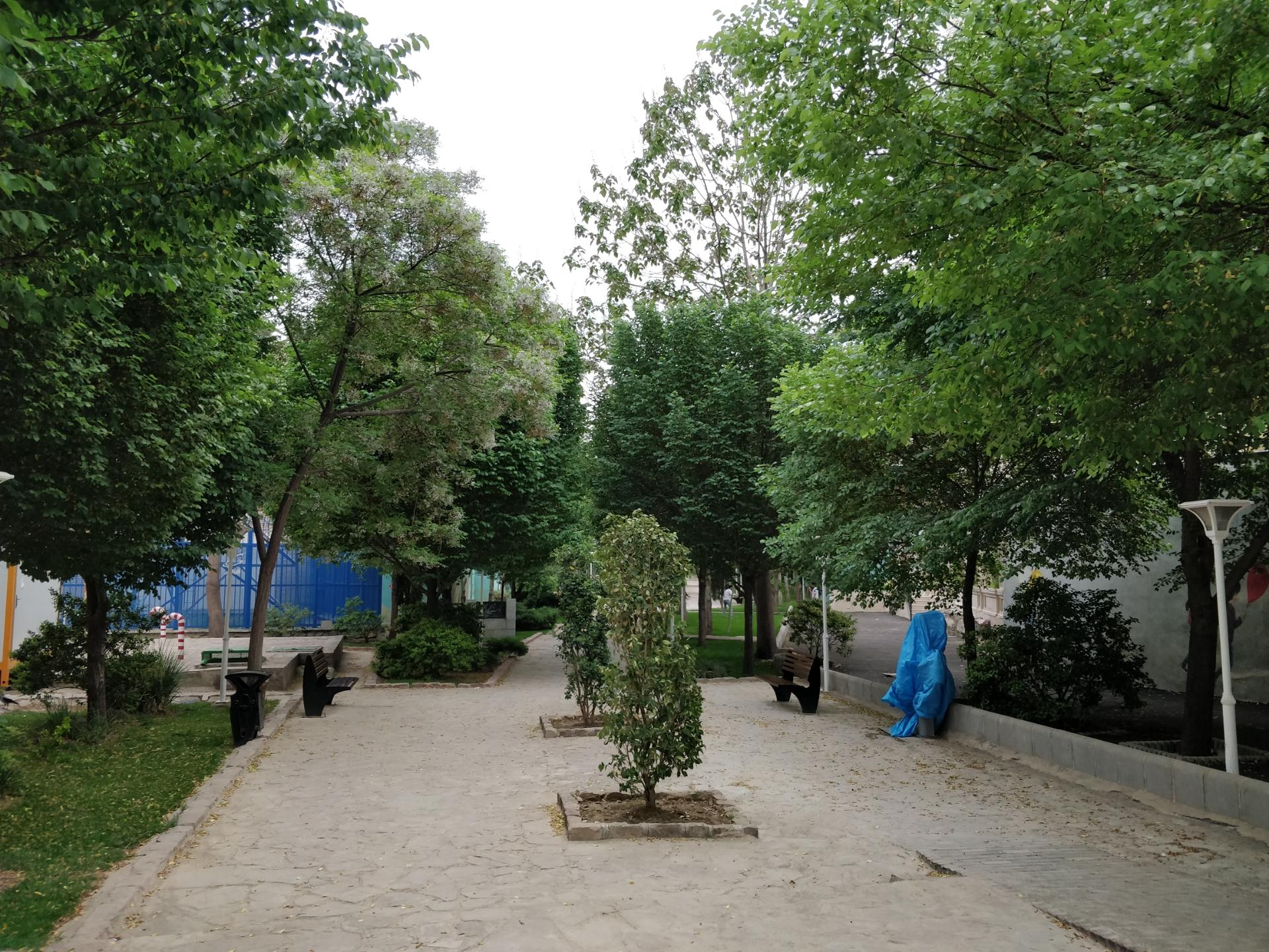 عکس بوستان رازی