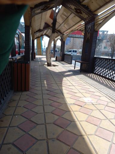 عکس شهید بروجردی