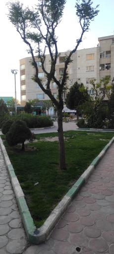 عکس پارک مهر