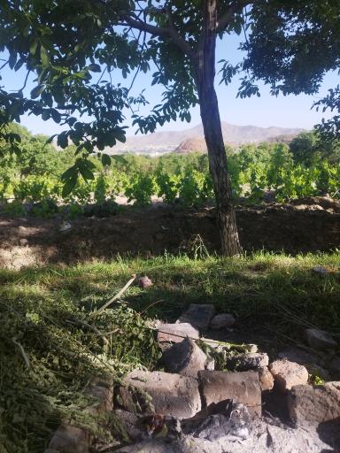 عکس تکیه آقا نور