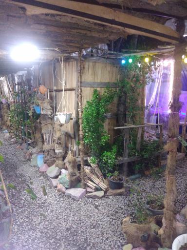 عکس کافه رستوران آراد