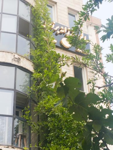 عکس سالن زیبایی فرزانه برزوئی