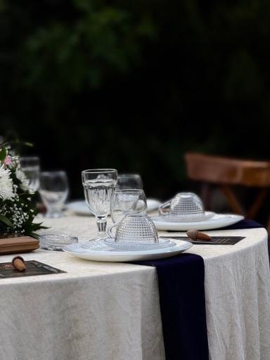 عکس باغ و تالار قوی سپید 