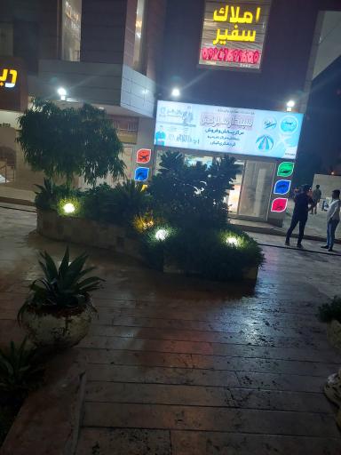 عکس سپیدار سیر کیش