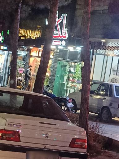 عکس گلفروشی بلک رز