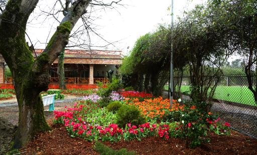 عکس چایخانه جنگلی شاه بلوط