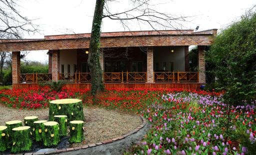 عکس چایخانه جنگلی شاه بلوط