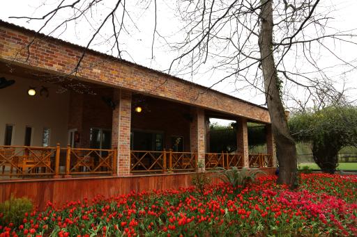 عکس چایخانه جنگلی شاه بلوط