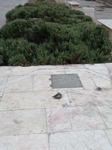 عکس بوستان ولیعصر