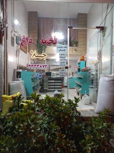 تخمه داغ و آجیلی چتلا